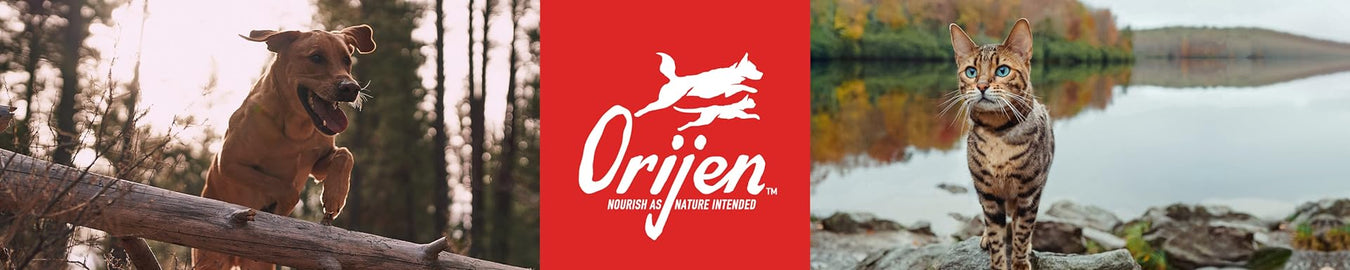 ORIJEN