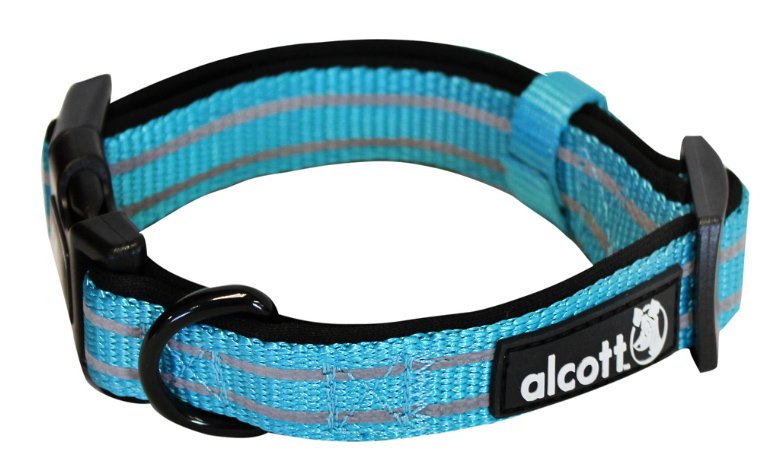 Photo of Alcott-Alcott Adventure Dog Collar-Blue-Small-from Pet Wish Pros