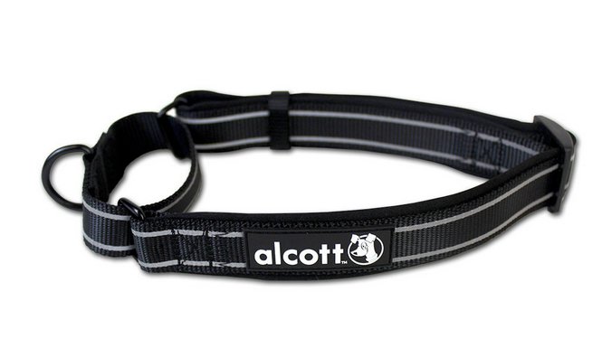 Photo of Alcott-Alcott Martingale Dog Collar-Black-Small-from Pet Wish Pros