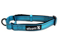 Photo of Alcott-Alcott Martingale Dog Collar-Blue-Medium-from Pet Wish Pros