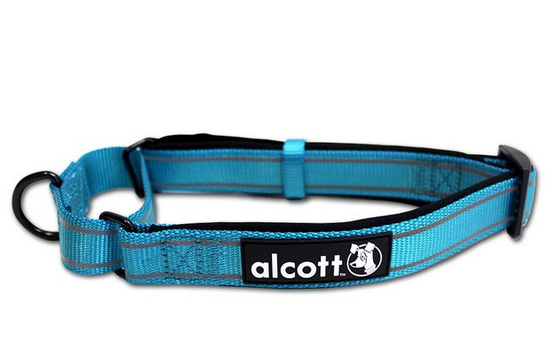 Photo of Alcott-Alcott Martingale Dog Collar-Blue-Medium-from Pet Wish Pros