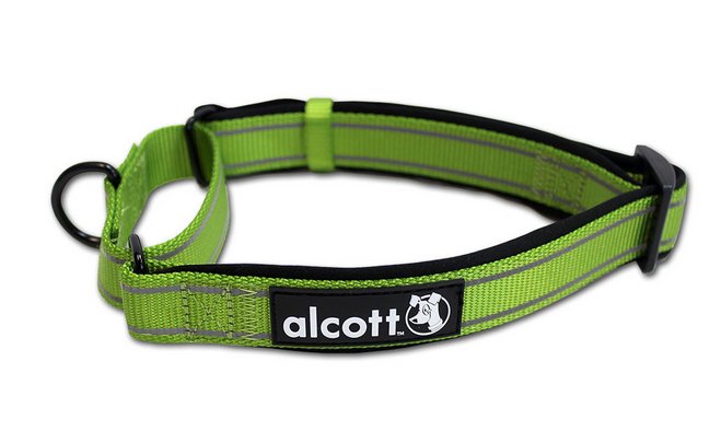 Photo of Alcott-Alcott Martingale Dog Collar-Green-Large-from Pet Wish Pros