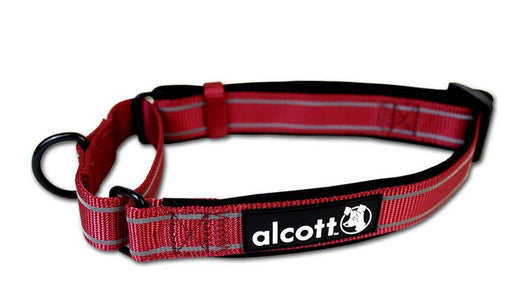 Photo of Alcott-Alcott Martingale Dog Collar-Red-Small-from Pet Wish Pros