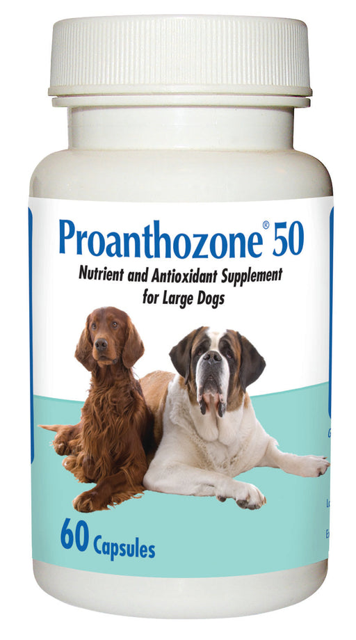 Photo of Animal Health Options-Proanthozone 50 Capsules for Large Dogs-60 count-from Pet Wish Pros