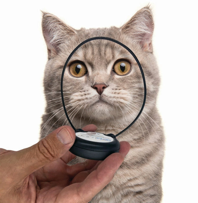 Photo of Assisi Animal Health-Assisi DentaLOOP tPEMF Device for Dogs and Cats-from Pet Wish Pros