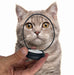 Photo of Assisi Animal Health-Assisi DentaLOOP tPEMF Device for Dogs and Cats-from Pet Wish Pros