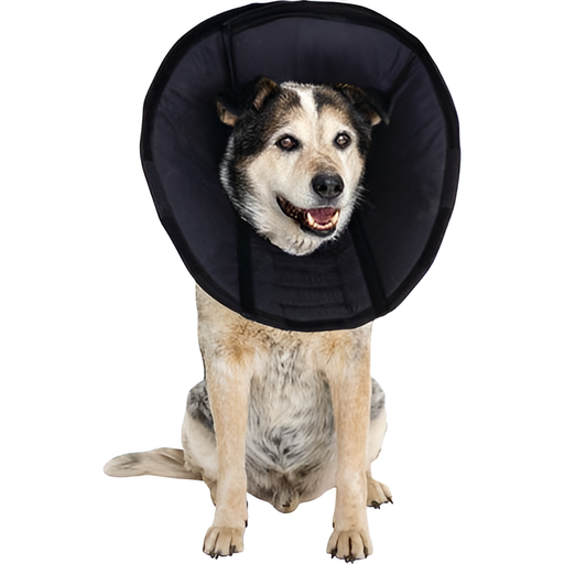 Photo of Assisi Animal Health-Assisi DentaLOOP tPEMF Device for Dogs and Cats-Bonnet Only-Large Bonnet: 12"-21"-from Pet Wish Pros