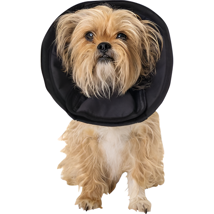 Photo of Assisi Animal Health-Assisi DentaLOOP tPEMF Device for Dogs and Cats-Bonnet Only-Small Bonnet: 6"-9"-from Pet Wish Pros