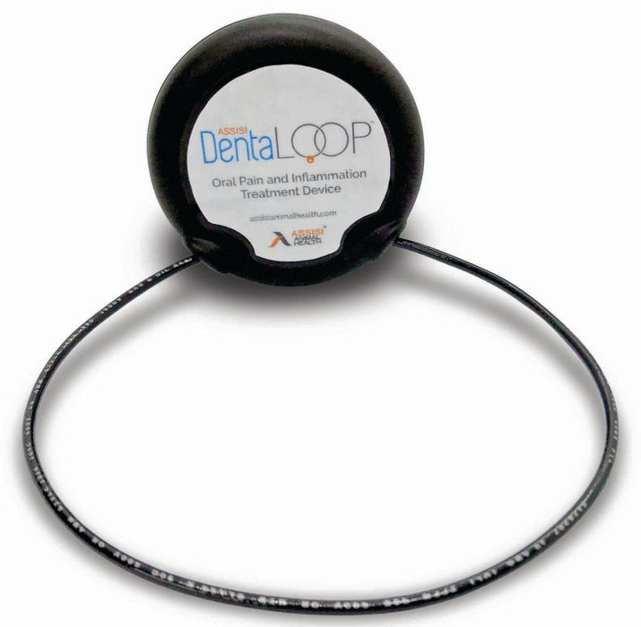 Photo of Assisi Animal Health-Assisi DentaLOOP tPEMF Device for Dogs and Cats-Device Only-Device Only-from Pet Wish Pros