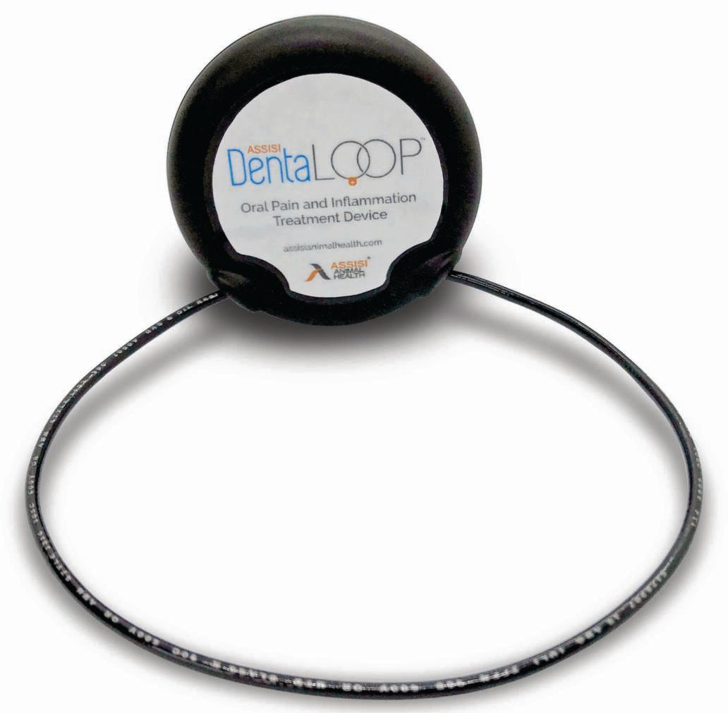Photo of Assisi Animal Health-Assisi DentaLOOP tPEMF Device for Dogs and Cats-Device Only-Device Only-from Pet Wish Pros