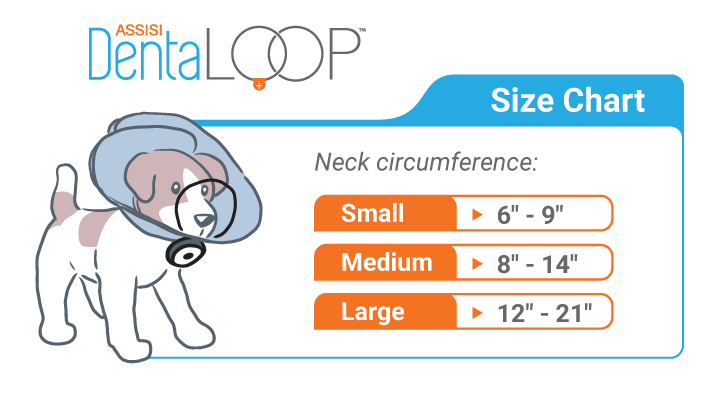 Photo of Assisi Animal Health-Assisi DentaLOOP tPEMF Device for Dogs and Cats-Small-from Pet Wish Pros