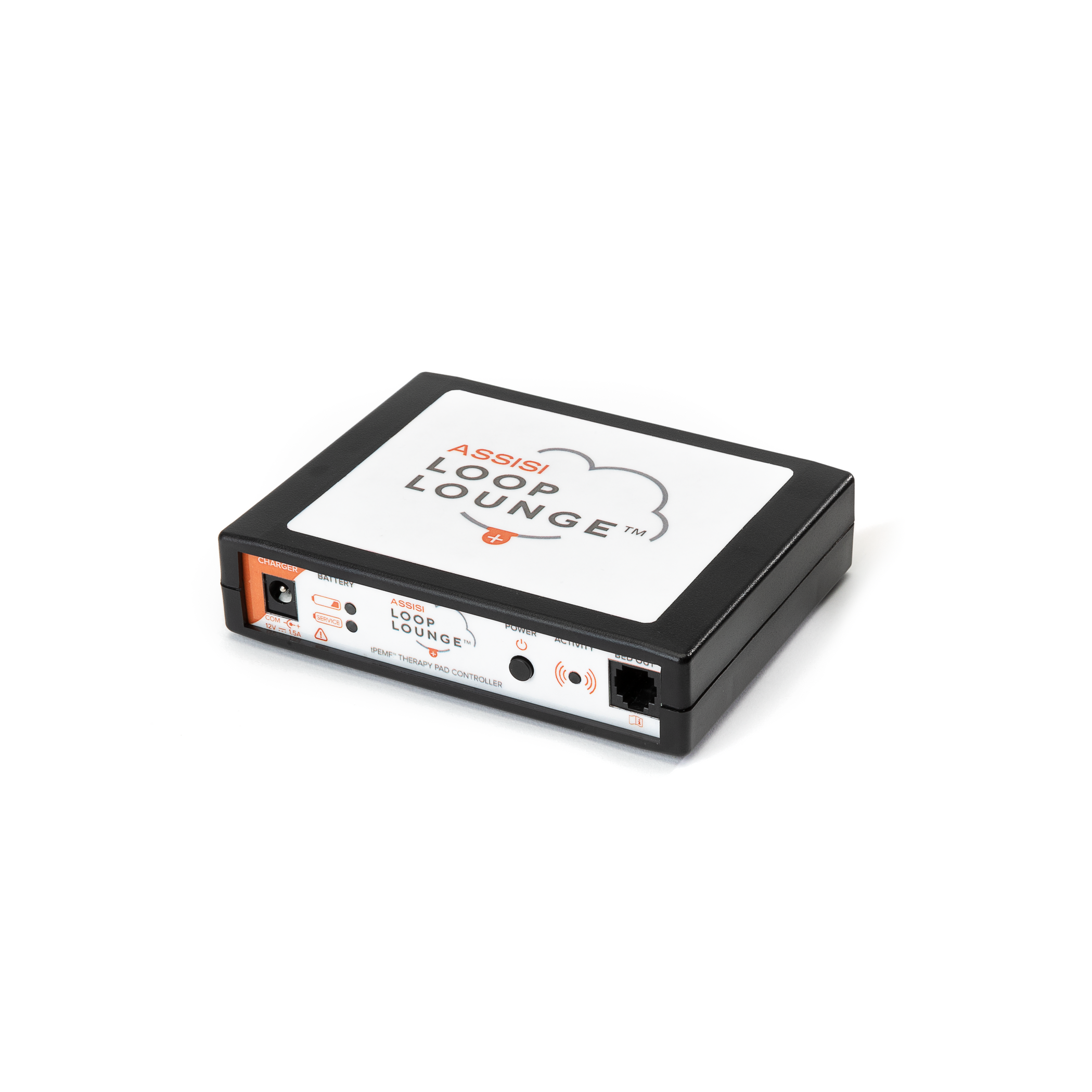 Assisi LOOP Lounge Controller Box — Pet Wish Pros