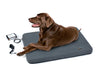 Photo of Assisi Animal Health-Assisi LOOP Lounge tPEMF System for Dogs and Cats-from Pet Wish Pros