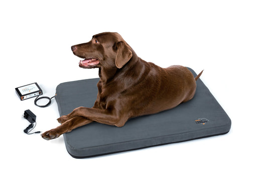 Photo of Assisi Animal Health-Assisi LOOP Lounge tPEMF System for Dogs and Cats-from Pet Wish Pros