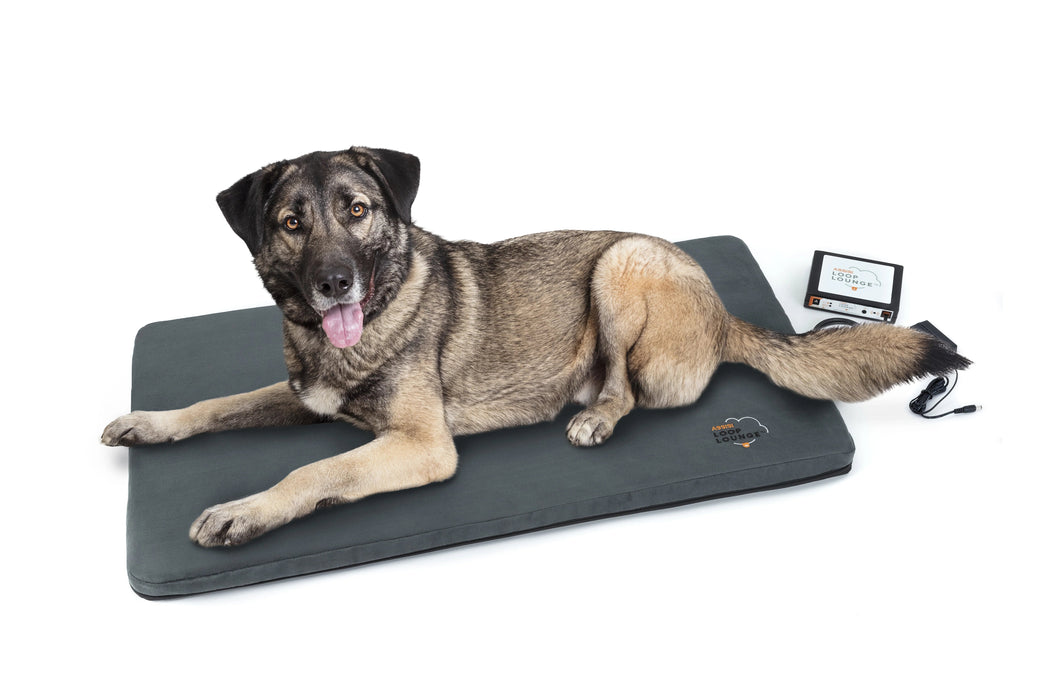 Photo of Assisi Animal Health-Assisi LOOP Lounge tPEMF System for Dogs and Cats-Medium-from Pet Wish Pros