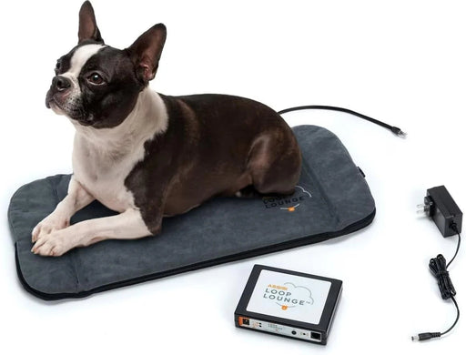 Photo of Assisi Animal Health-Assisi LOOP Lounge tPEMF System for Dogs and Cats-from Pet Wish Pros