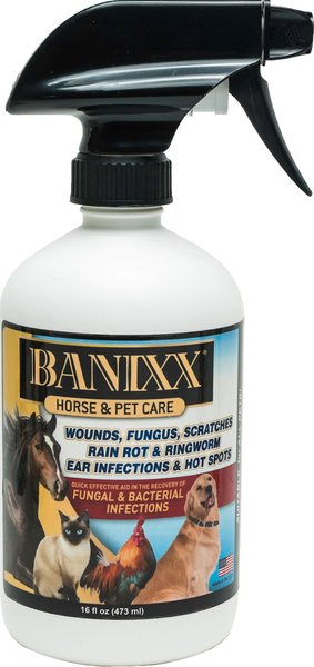 Photo of Banixx-Banixx Horse & Pet Care Spray-16 oz-from Pet Wish Pros