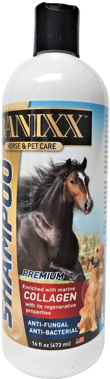 Photo of Banixx-Banixx Shampoo w/ Collagen for Horses-16 oz-from Pet Wish Pros