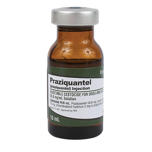 Photo of Bimeda-Praziquantel Injection for Dogs and Cats-from Pet Wish Pros
