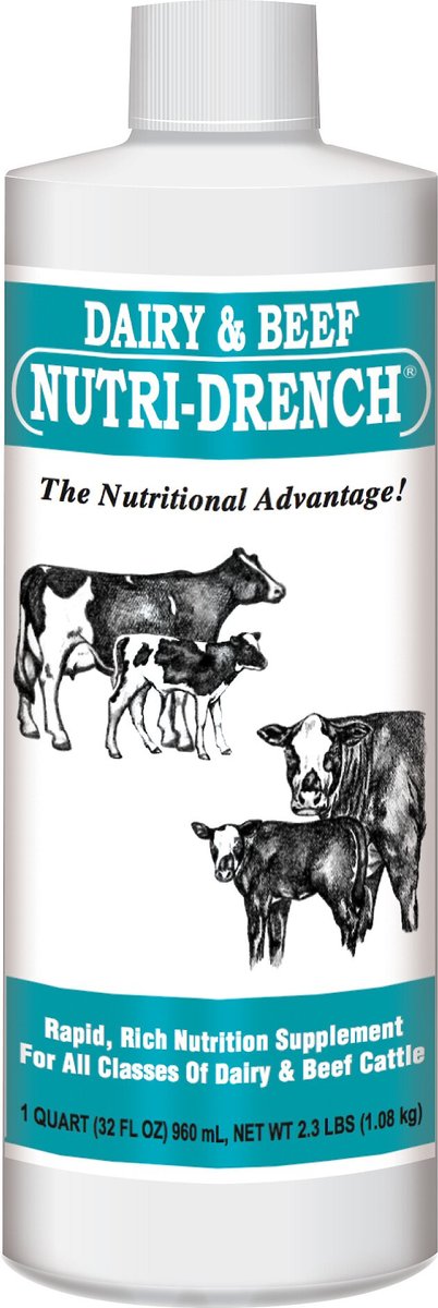 Photo of Bovidr Laboratories-Nutri-Drench Dairy & Beef Nutritional Supplement-32 oz-from Pet Wish Pros