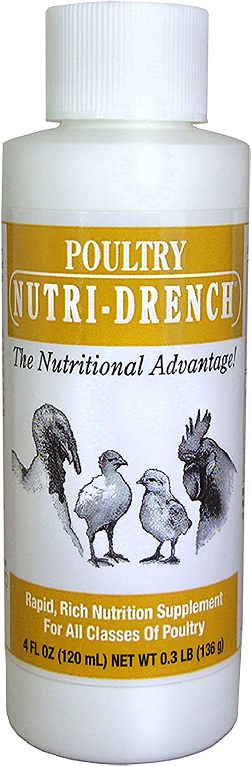 Photo of Bovidr Laboratories-Nutri-Drench Poulty Nutritional Supplement-4 oz-from Pet Wish Pros