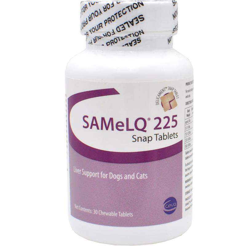 SAMeLQ SNAP Chew Tablets — Pet Wish Pros