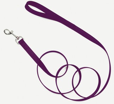 Photo of Coastal Pet-Coastal Single-Ply Nylon Dog Collar-5/8 in x 6 ft-Purple-from Pet Wish Pros