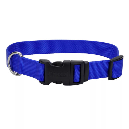 Photo of Coastal Pet Products-Coastal Adjustable Dog Collar with Plastic Buckle-3/8 in x 8-12 in-Blue-from Pet Wish Pros