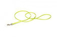 Photo of Coastal Pet Products-Coastal Nylon Single-Ply Dog Leash-3/8 in x 6 ft-Lime-from Pet Wish Pros