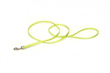 Photo of Coastal Pet Products-Coastal Nylon Single-Ply Dog Leash-3/8 in x 6 ft-Lime-from Pet Wish Pros