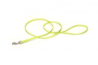 Photo of Coastal Pet Products-Coastal Nylon Single-Ply Dog Leash-Lime-3/8 in x 6 ft-from Pet Wish Pros