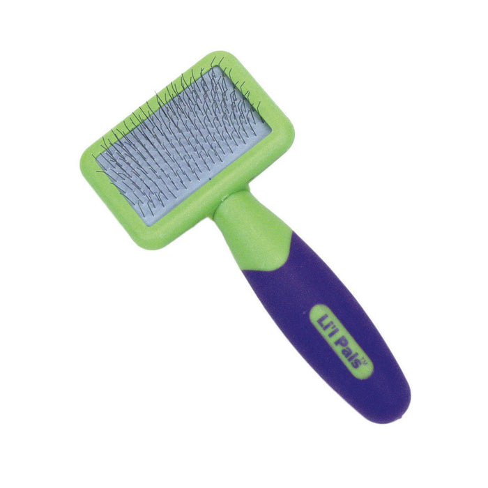 CEPILLO LIL PALS F GROOMING LIL PALS x 1