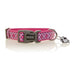 Photo of DOOG-DOOG Neoprene Dog Collar Toto-Pink-Large-from Pet Wish Pros