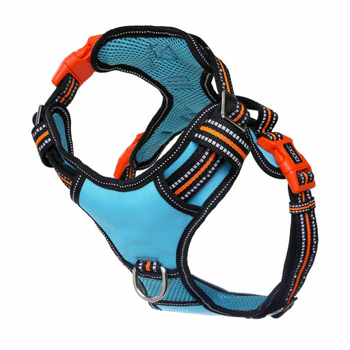 Photo of DOOG-Doog Neotech Dog Harness Beethoven-Blue/Orange/Black-Small-from Pet Wish Pros