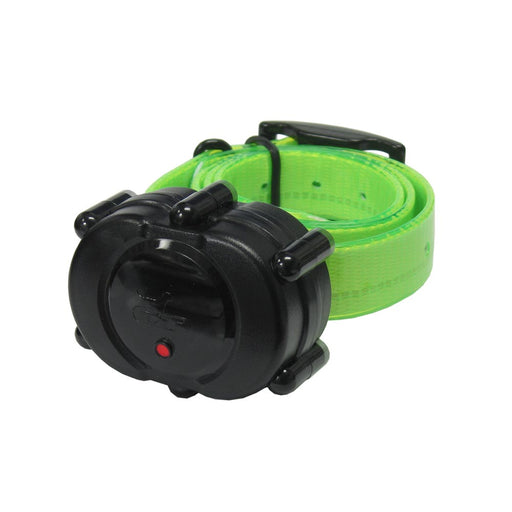 Photo of DT Systems-DT Systems Micro-iDT Remote Dog Trainer Add-On Collar-Green-from Pet Wish Pros