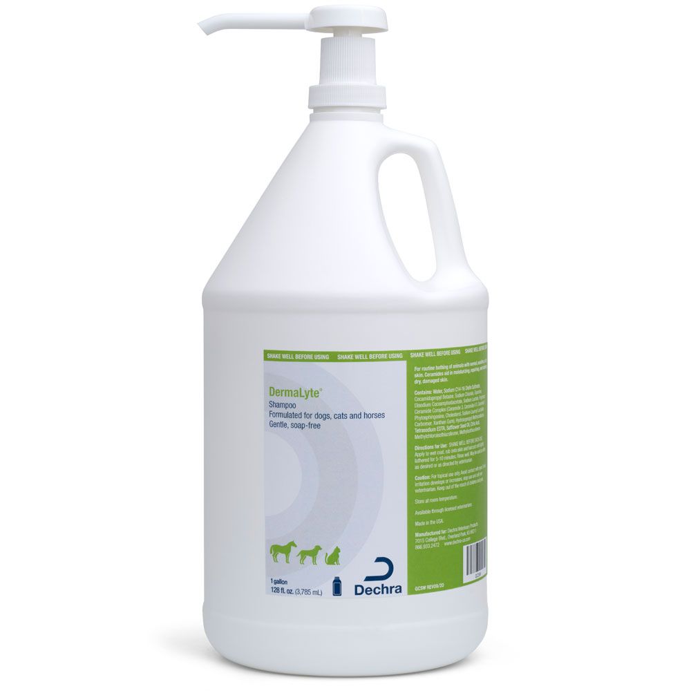 DermaLyte Shampoo — Pet Wish Pros