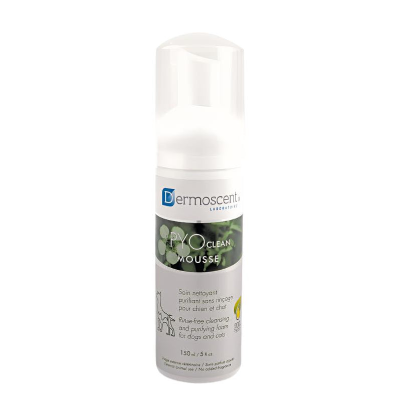 Dermoscent PYO Clean Mousse — Pet Wish Pros