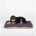 Photo of Dog Gone Smart-DGS Pet Products Pet Cotton Canvas Sleeper Cushion-from Pet Wish Pros