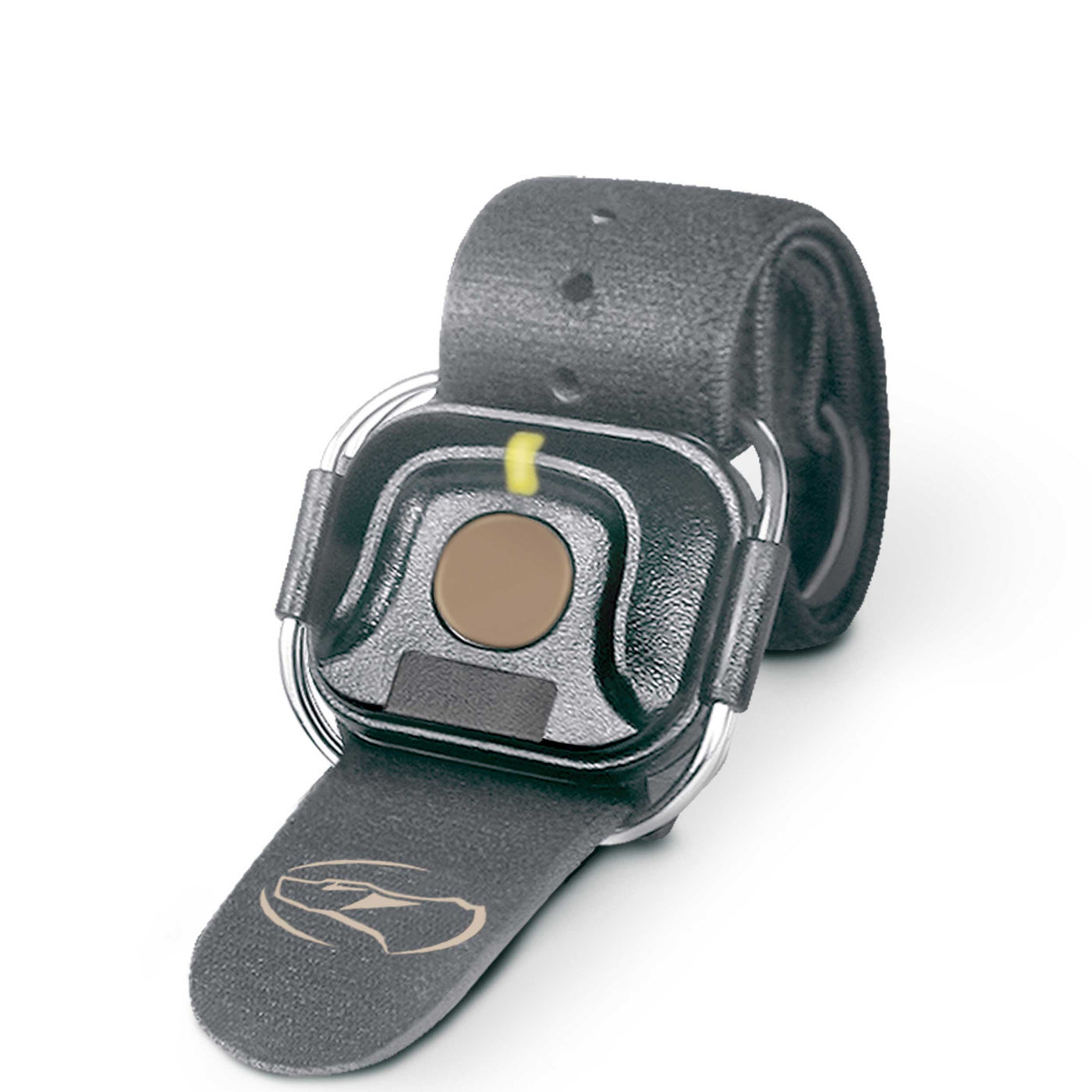 Dogtra 2 Dog Remote System — Pet Wish Pros