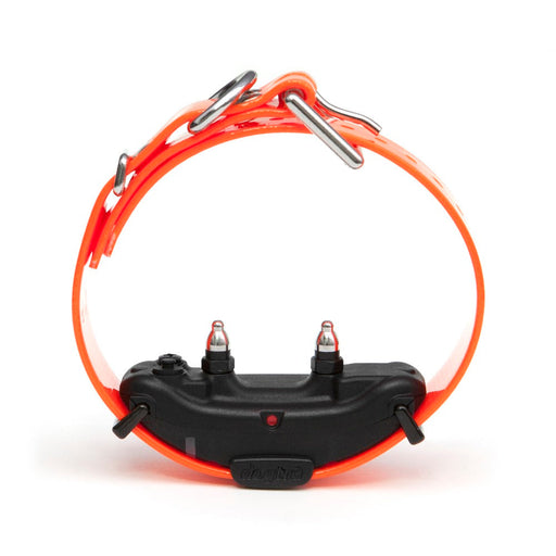 Photo of Dogtra-Dogtra ARC Extra Collar Orange-from Pet Wish Pros
