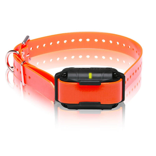 Photo of Dogtra-Dogtra Add A Collar for Expandable 2300NCP-from Pet Wish Pros