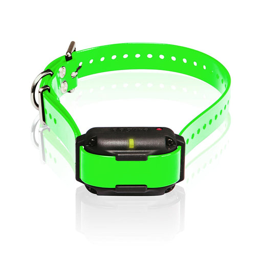 Photo of Dogtra-Dogtra Edge RT Additional Receiver-Green-from Pet Wish Pros