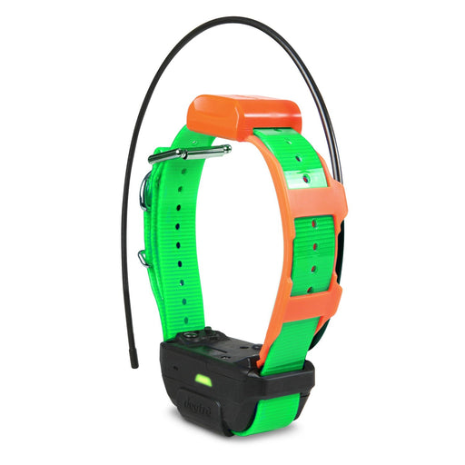 Photo of Dogtra-Dogtra Pathfinder TRX Tracking Only Collar-Green-from Pet Wish Pros