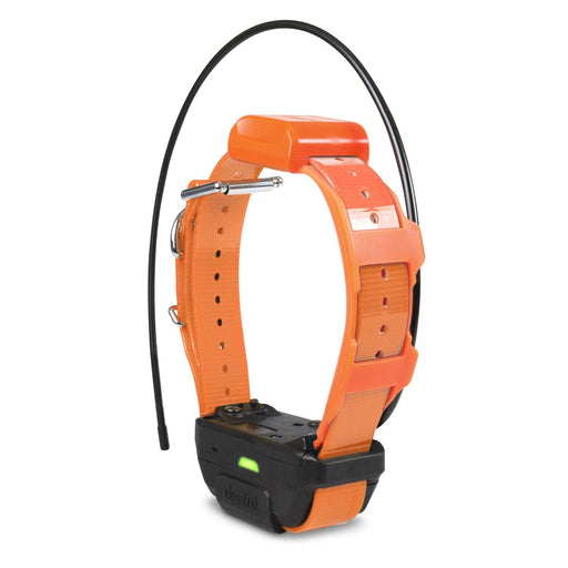 Photo of Dogtra-Dogtra Pathfinder TRX Tracking Only Collar-Orange-from Pet Wish Pros