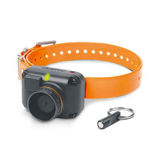 Photo of Dogtra-Dogtra STB Beeper Collar Version-from Pet Wish Pros