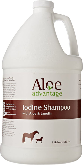 Photo of Durvet-Aloe Advantage Iodine Shampoo w/ Aloe & Lanolin-Pack of 1-from Pet Wish Pros