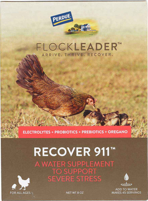 Photo of Durvet-FlockLeader Recover 911 Water Supplement-8 oz-from Pet Wish Pros