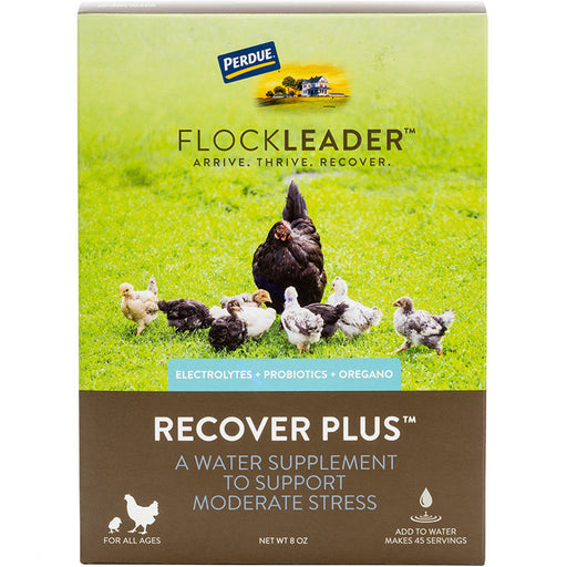 Photo of Durvet-FlockLeader Recover Plus Water Supplement-8 oz-from Pet Wish Pros