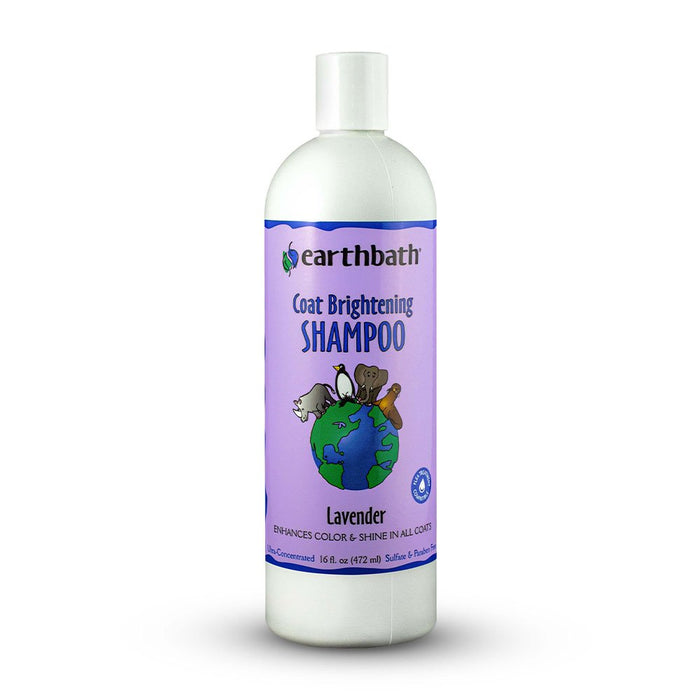 Photo of Earthbath-Earthbath Light Color Coat Brightening Shampoo for Cat & Dog-16 oz-Lamb-from Pet Wish Pros