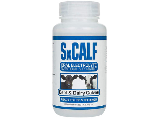 Photo of EcoPlanet One Health-SxCalf Oral Electrolyte for Beef & Dairy Calves-250 mL-from Pet Wish Pros